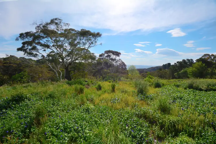 Second view of Homely land listing, 110 Station Street, Blackheath NSW 2785