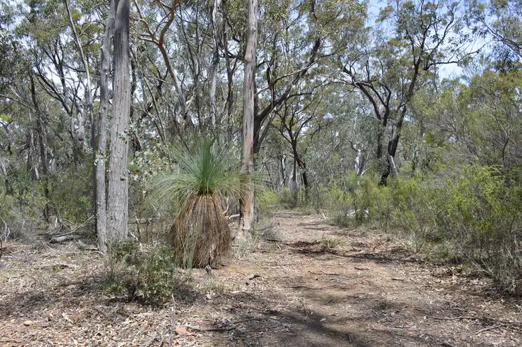 Second view of Homely rural property listing, 235-239 Bylong Valley Way, Ilford, Mudgee NSW 2850
