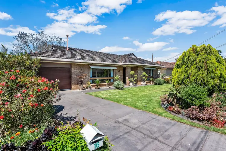 Main view of Homely house listing, 16 Pankina Grove, Marion SA 5043