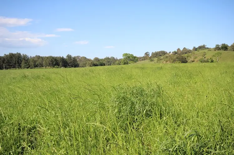 Fifth view of Homely rural property listing, Address available on request