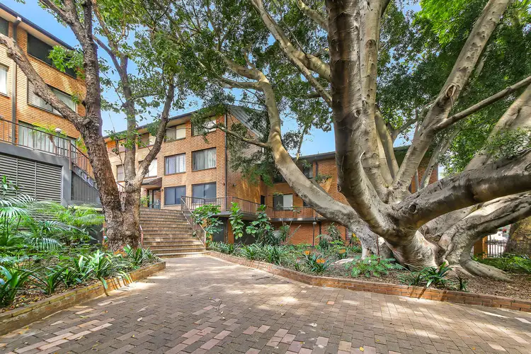 Main view of Homely apartment listing, 59/492-500 Elizabeth Street, Surry Hills NSW 2010