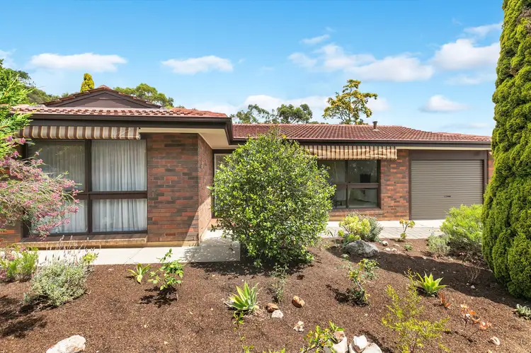 Main view of Homely house listing, 25 Sheoak Drive, Athelstone SA 5076