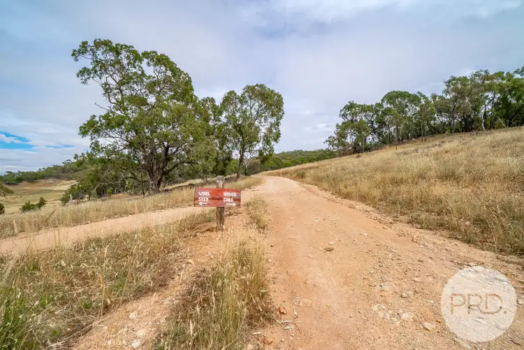 Second view of Homely rural property listing, 669 Big Springs Road, Big Springs NSW 2650