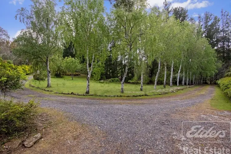 Sixth view of Homely house listing, 17 Atkinsons Road, Grindelwald TAS 7277