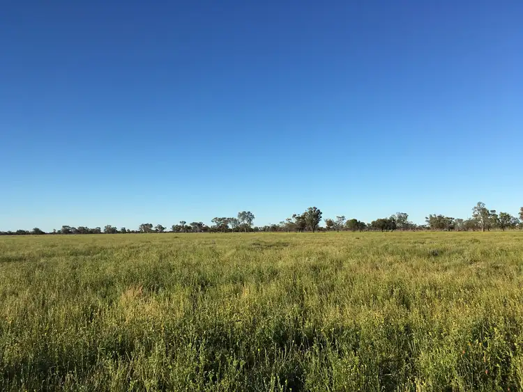 Second view of Homely rural property listing, . BLUE RIBBON SHEEP COUNTRY -, Cunnamulla QLD 4490
