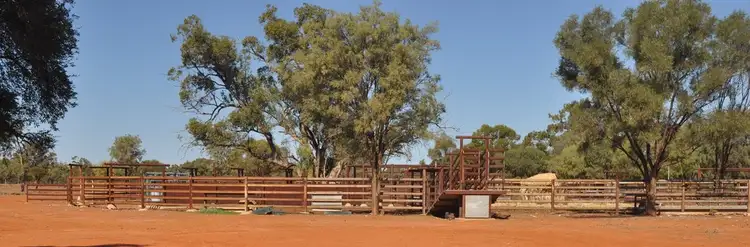 Third view of Homely rural property listing, . BLUE RIBBON SHEEP COUNTRY -, Cunnamulla QLD 4490