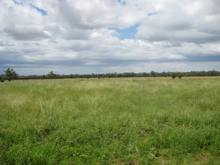 Fifth view of Homely rural property listing, . BLUE RIBBON SHEEP COUNTRY -, Cunnamulla QLD 4490