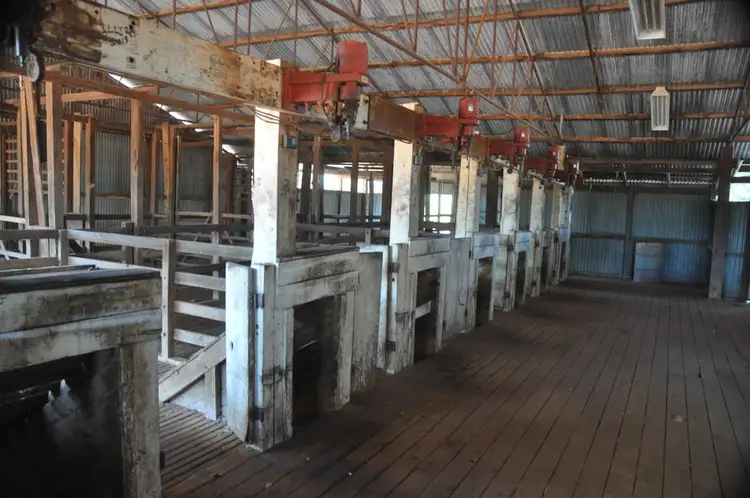 Seventh view of Homely rural property listing, . BLUE RIBBON SHEEP COUNTRY -, Cunnamulla QLD 4490