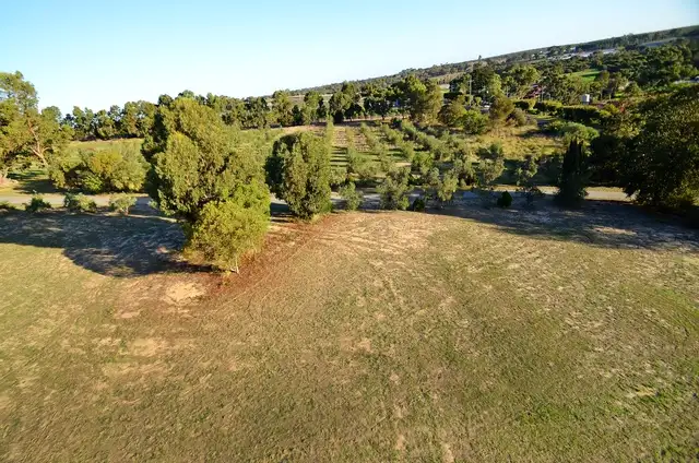 Fifth view of Homely rural property listing, 180 Karoborup Road, Carabooda WA 6033