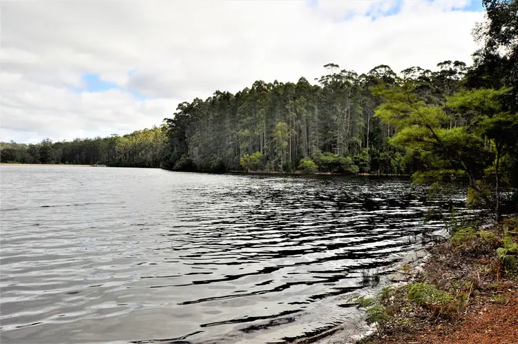 Main view of Homely land listing, Lot 166 KARRI LANE, Quinninup WA 6258