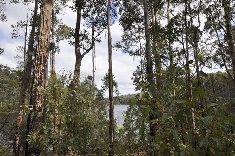 Fourth view of Homely land listing, Lot 166 KARRI LANE, Quinninup WA 6258