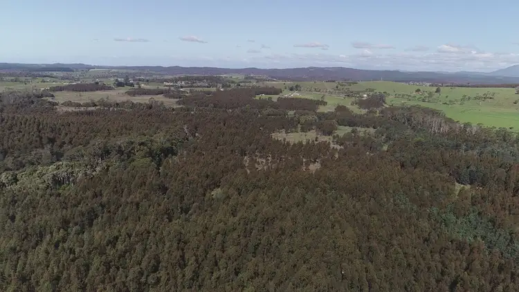 Second view of Homely rural property listing, Purcivall Bridport Road, Pipers River TAS 7252