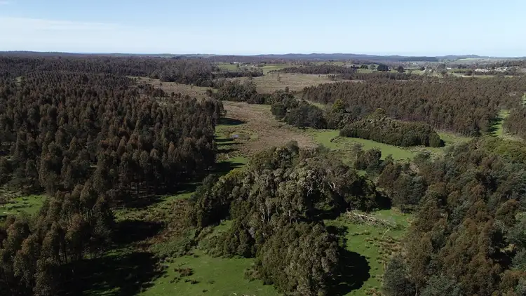 Third view of Homely rural property listing, Purcivall Bridport Road, Pipers River TAS 7252