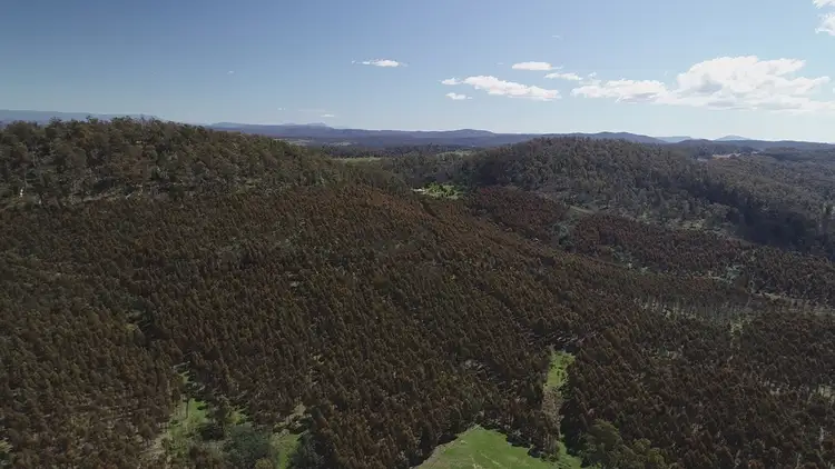 Second view of Homely rural property listing, Thurso Spring Ecclestone Road, Riverside TAS 7250