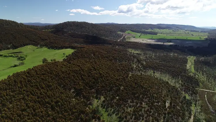 Third view of Homely rural property listing, Thurso Spring Ecclestone Road, Riverside TAS 7250