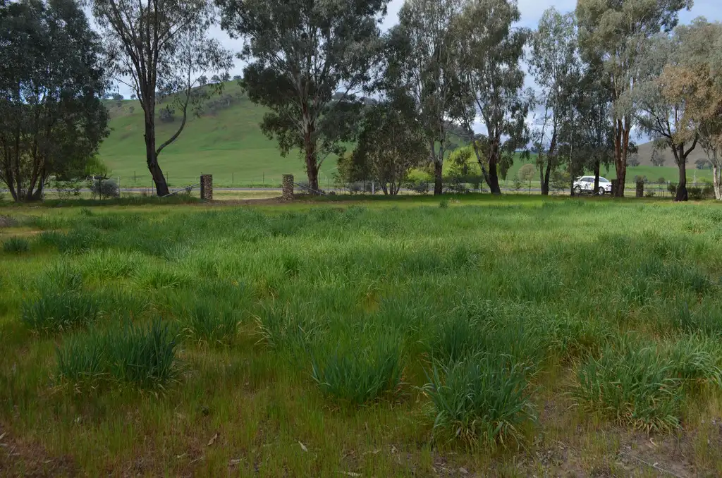 Main view of Homely land listing, 16 Brungle Creek Road, Brungle NSW 2722