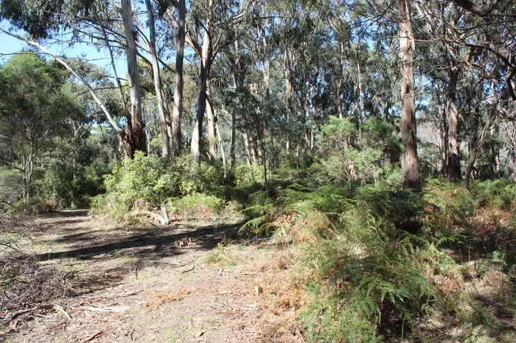 Seventh view of Homely rural property listing, 622 TAMES ROAD, Strathbogie VIC 3666