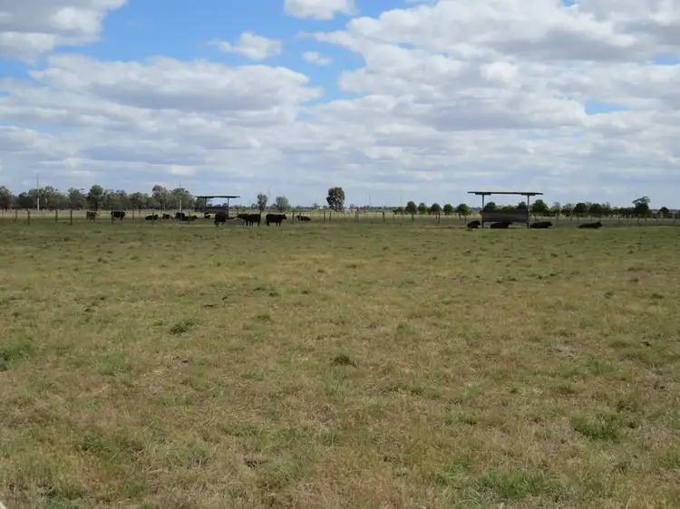 Seventh view of Homely rural property listing, 201 Four Post Road, Deniliquin NSW 2710