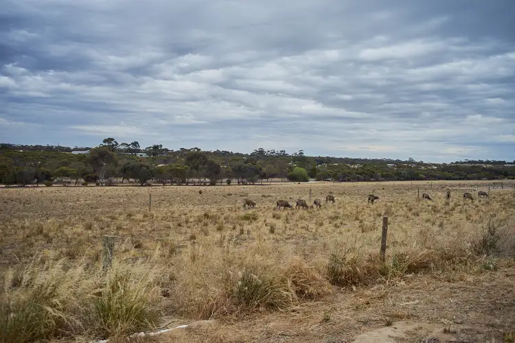 Fourth view of Homely rural property listing, 4044 Old Princes Highway, Murray Bridge SA 5253