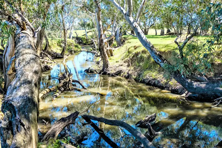 Third view of Homely rural property listing, Forest Vale, Hume Highway, Holbrook NSW 2644