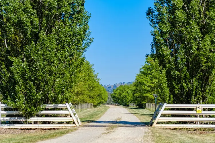 Fifth view of Homely rural property listing, Forest Vale, Hume Highway, Holbrook NSW 2644