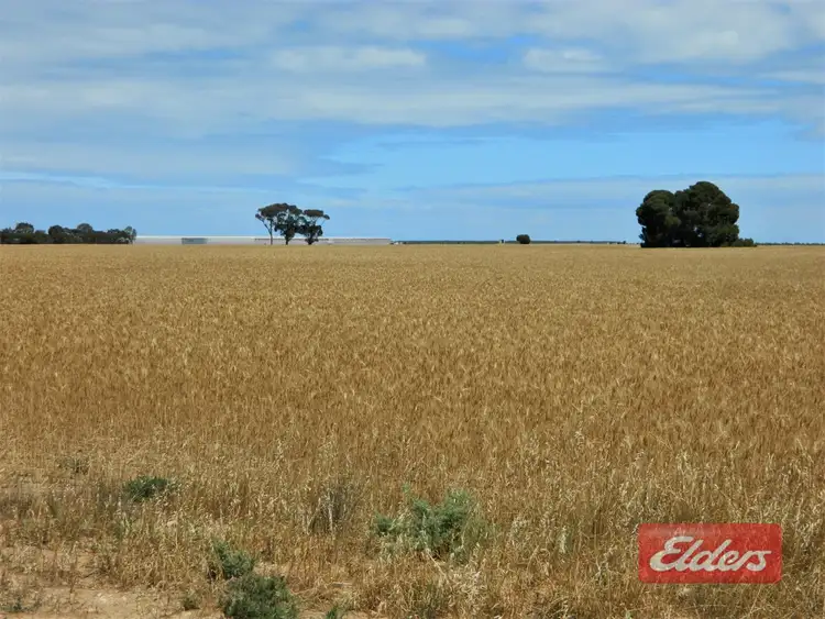 Second view of Homely land listing, Lot 1904 Buckland Park Road, Two Wells SA 5501