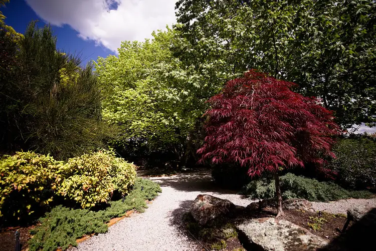 Sixth view of Homely house listing, 69 Wrights Lane, Orange NSW 2800