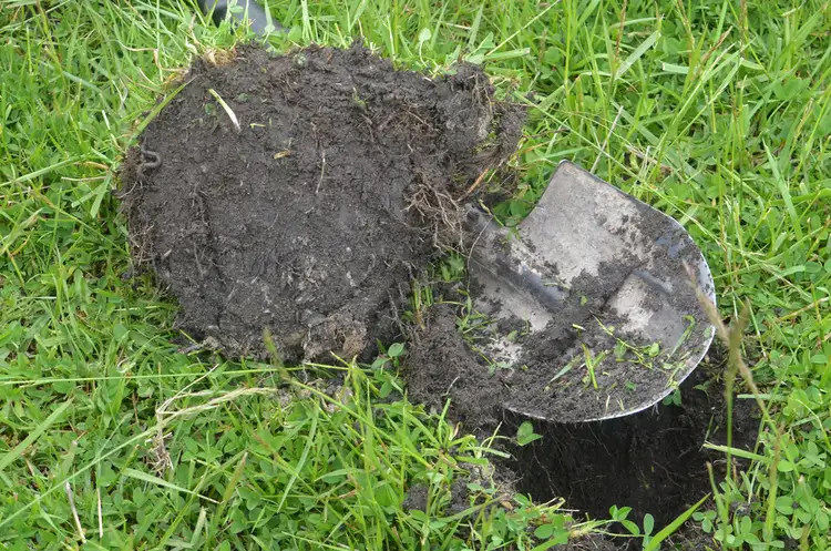 Second view of Homely rural property listing, 703 Bog Lane, Robe SA 5276