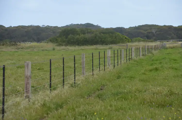 Fifth view of Homely rural property listing, 703 Bog Lane, Robe SA 5276