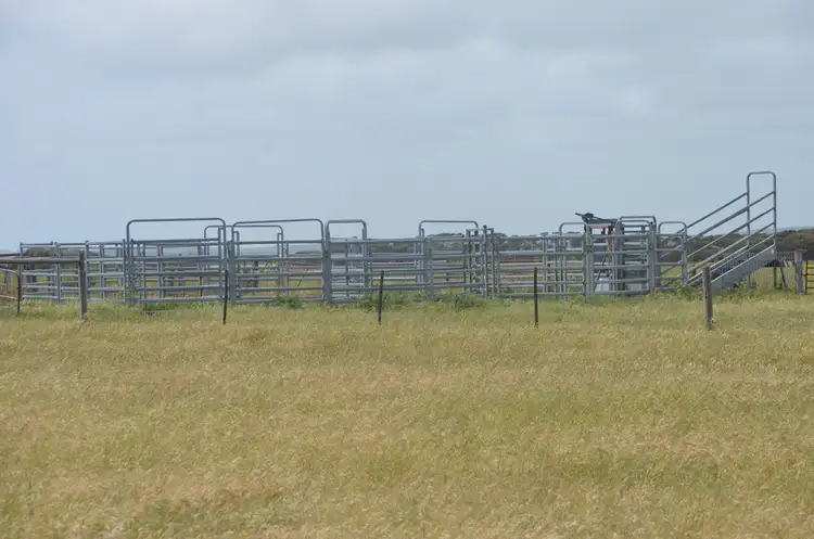 Sixth view of Homely rural property listing, 703 Bog Lane, Robe SA 5276