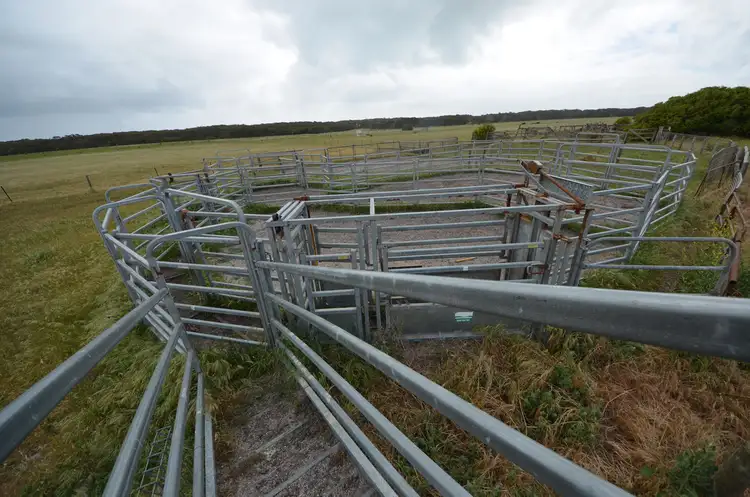 Seventh view of Homely rural property listing, 703 Bog Lane, Robe SA 5276