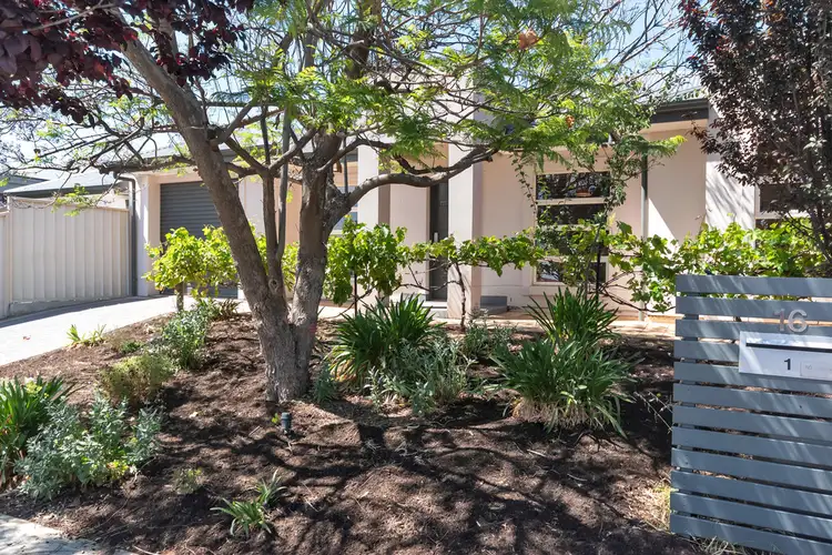16 Felix Street, Dover Gardens SA 5048