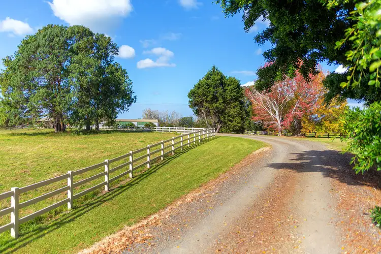 Third view of Homely rural property listing, 43 Dumaresq Island Road, Dumaresq Island NSW 2430