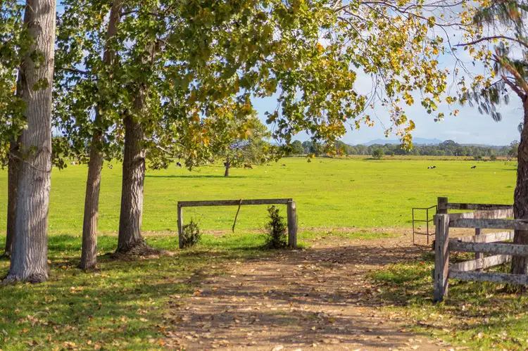 Fourth view of Homely rural property listing, 43 Dumaresq Island Road, Dumaresq Island NSW 2430