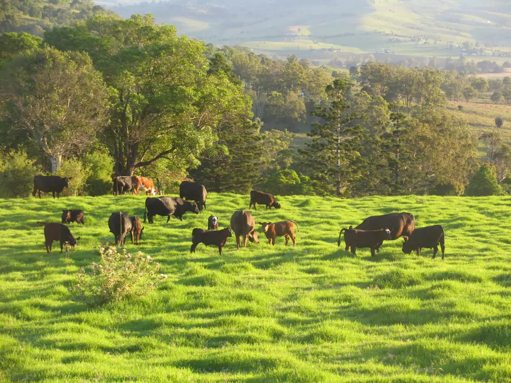 Main view of Homely rural property listing, 1 Graysons Road, Killarney QLD 4373