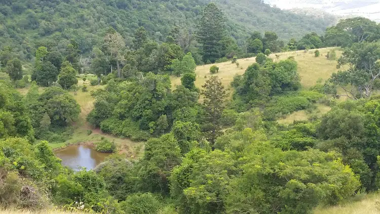 Fourth view of Homely rural property listing, 1 Graysons Road, Killarney QLD 4373