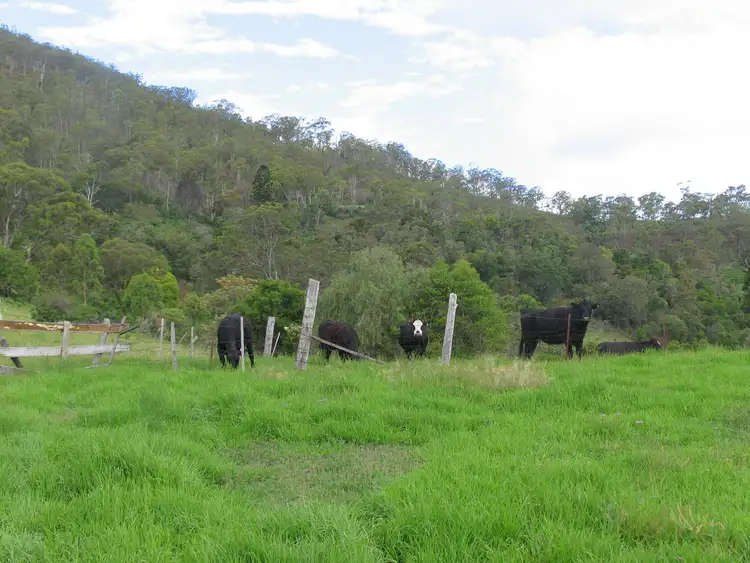 Seventh view of Homely rural property listing, 1 Graysons Road, Killarney QLD 4373