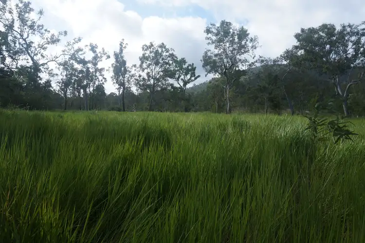 Seventh view of Homely rural property listing, 118 LILLYPILLY ROAD, Preston QLD 4800