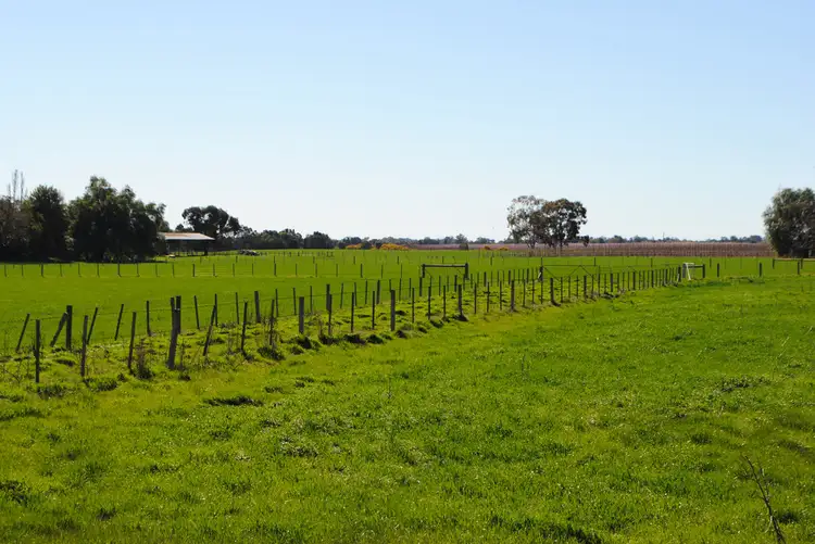 Second view of Homely land listing, 4965 Shepparton-Barmah Road, Bunbartha VIC 3634