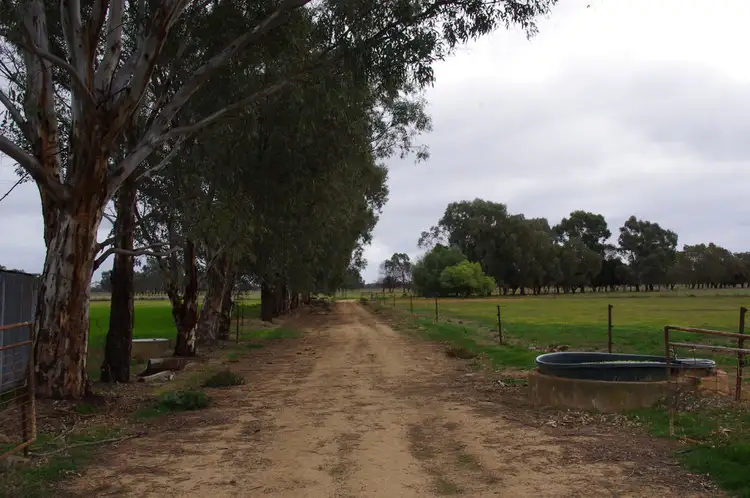 Main view of Homely rural property listing, 382 Shinnicks Road, Katunga VIC 3640