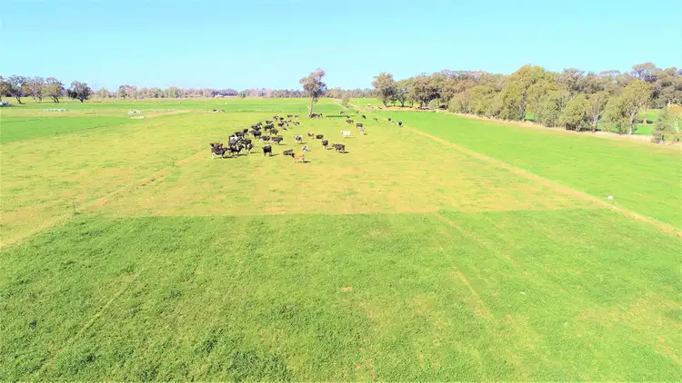 Second view of Homely land listing, 574A Hendys Road, Numurkah VIC 3636