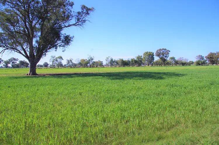 Fifth view of Homely land listing, 574A Hendys Road, Numurkah VIC 3636