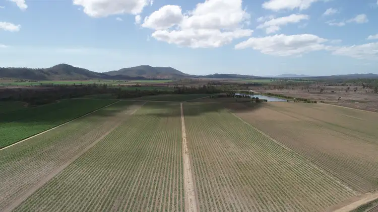 Fifth view of Homely rural property listing, 9547 BRUCE HIGHWAY, Bloomsbury QLD 4799