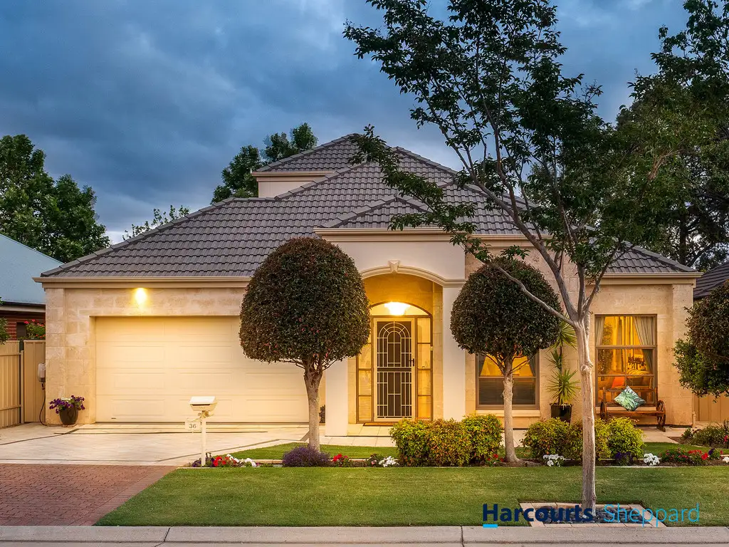 Main view of Homely house listing, 36 Tolley Crescent, Brooklyn Park SA 5032