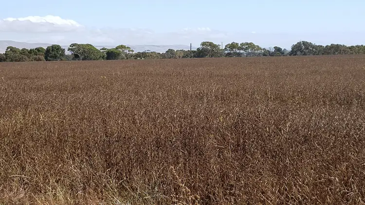 Fourth view of Homely house listing, Sec 384 Iverene Road, Aldinga SA 5173