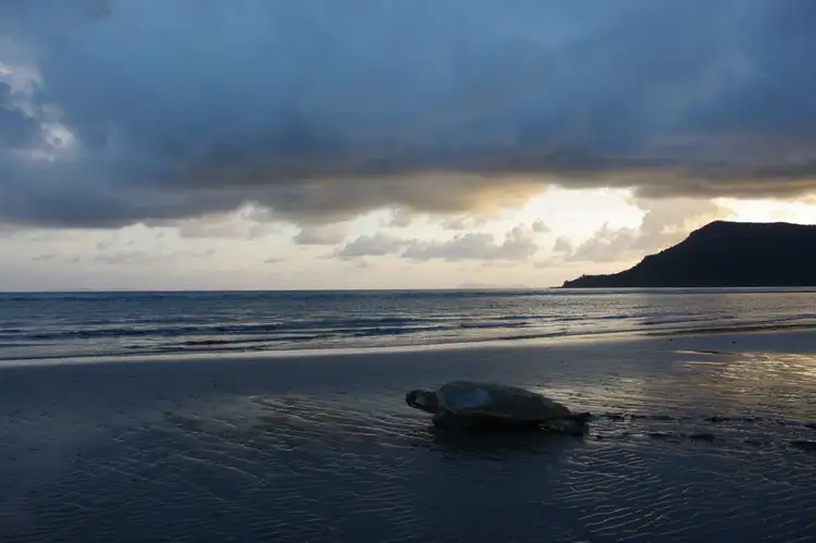 Seventh view of Homely house listing, 6 Sivyer Street, Ball Bay QLD 4741