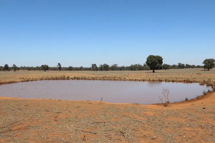 Third view of Homely rural property listing, 1032 Manna Forest Road, Condobolin NSW 2877