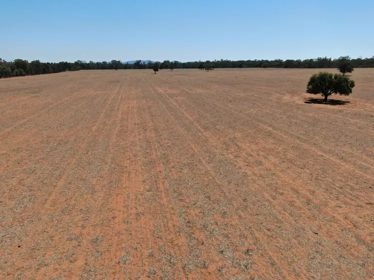 Fifth view of Homely rural property listing, 1032 Manna Forest Road, Condobolin NSW 2877