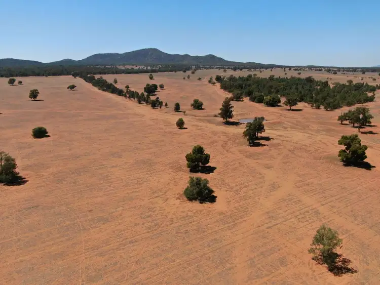 Sixth view of Homely rural property listing, 1032 Manna Forest Road, Condobolin NSW 2877