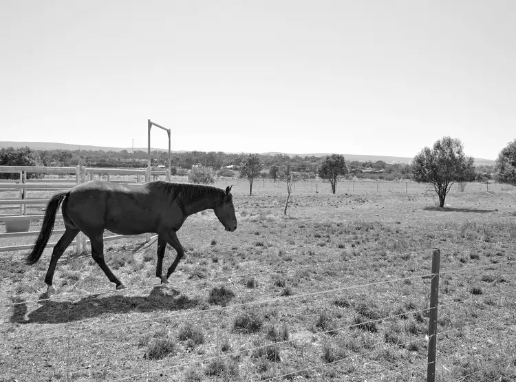 Main view of Homely land listing, 11 Qualitary Rd, Leeton NSW 2705